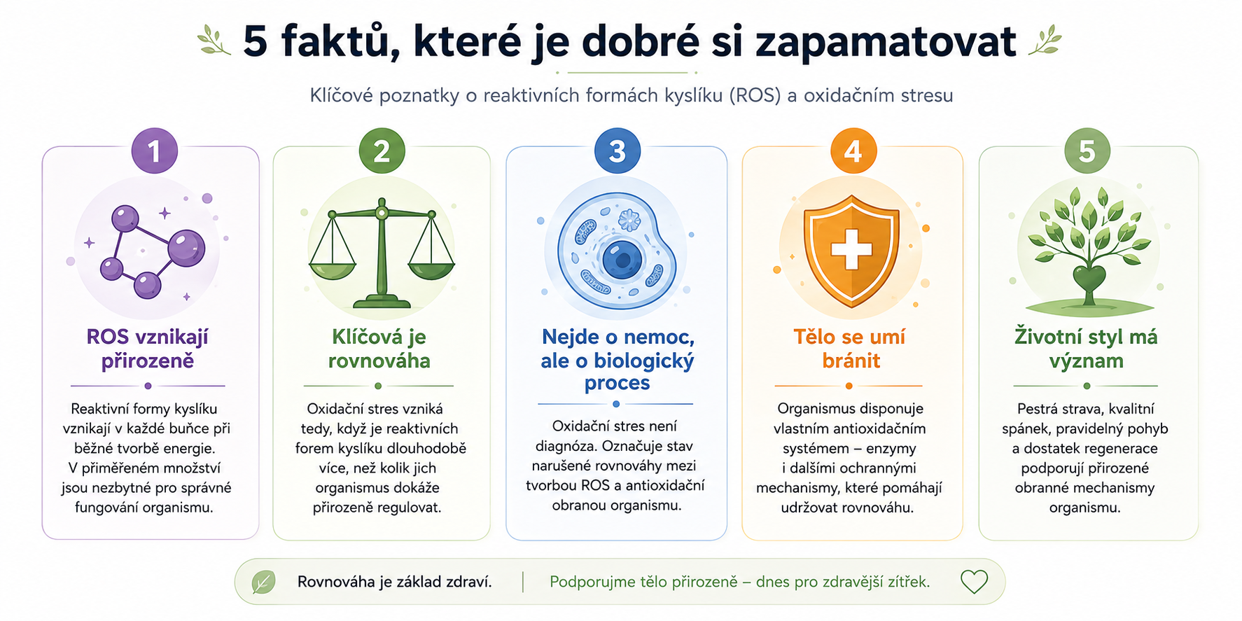 5 faktů o oxidačním stresu